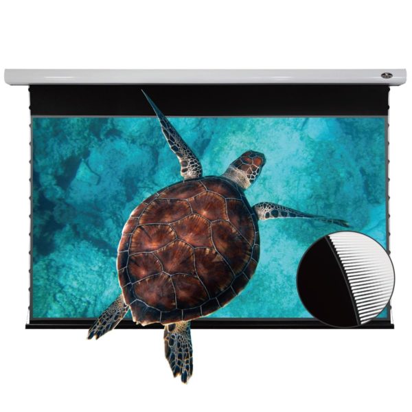 VIVIDSTORM PRO Slimline Motorized Tension UST ALR Projector Screen - Image 3